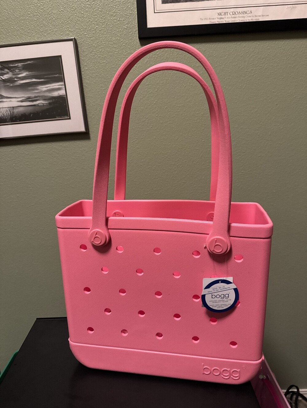 15" BOGG BAG Baby Watermelon Pink Tote New with tags - Picture 1 of 2